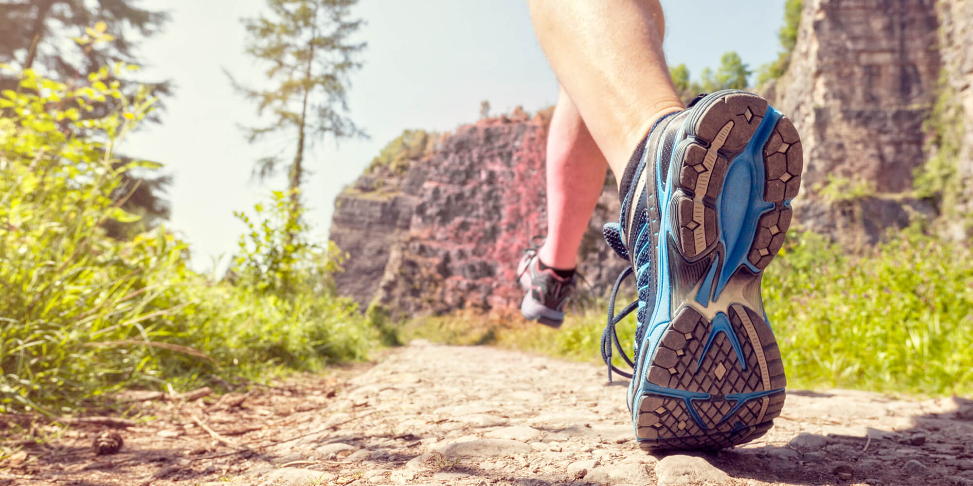 The Podiatry Group of South Texas