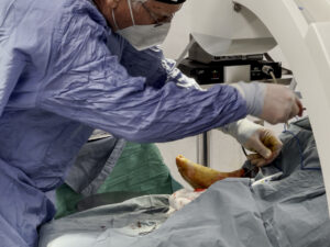 Orthopedic Surgeon Performs A Difficult Ankle Surgery